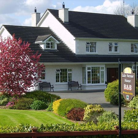 Lake Avenue House แบลลีคอนเนลล์ ภายนอก รูปภาพ